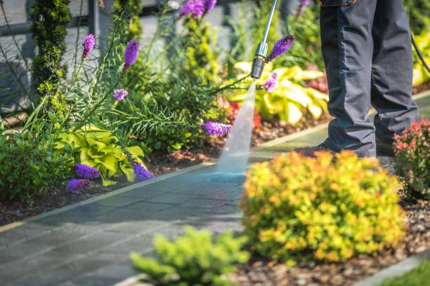 Best Restaurant Pressure Washing  in Crescent City, FL