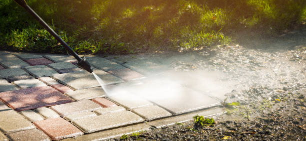 Best Soft Washing  in Crescent City, FL